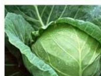 圖 深圳送菜公司深圳蔬菜配送深圳農產品配送 深圳生活配送