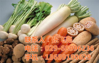 蔬菜配送 袋鼠農產品銷售 長安蔬菜配送公司