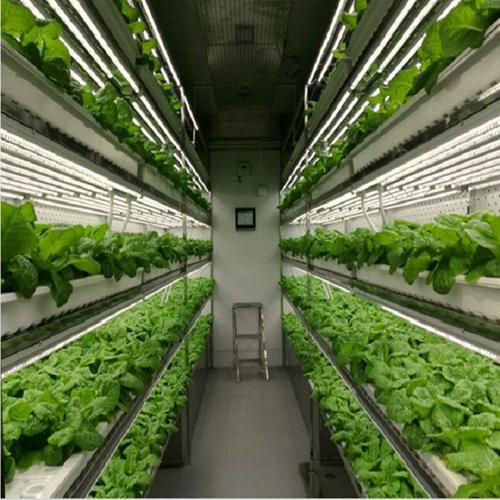 無土栽培智慧農業植物工廠集裝箱有機蔬菜水培立體種植物設備溫室