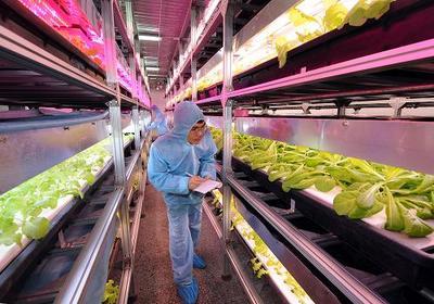 北京建成首個具有自主知識產權的大型植物工廠