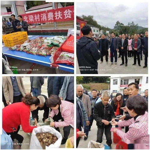 洋縣 消費扶貧讓農產品銷售奔上快車道